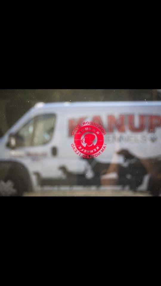 Dog Gallery Hickory, NC Kanupp Kennels