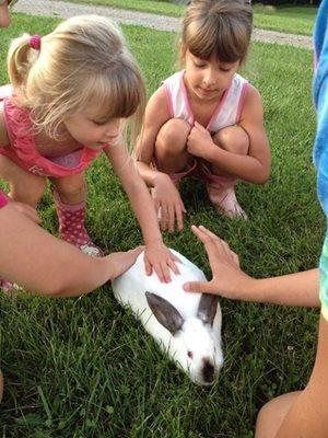 Children pet a white rabbit on grass outdoors.