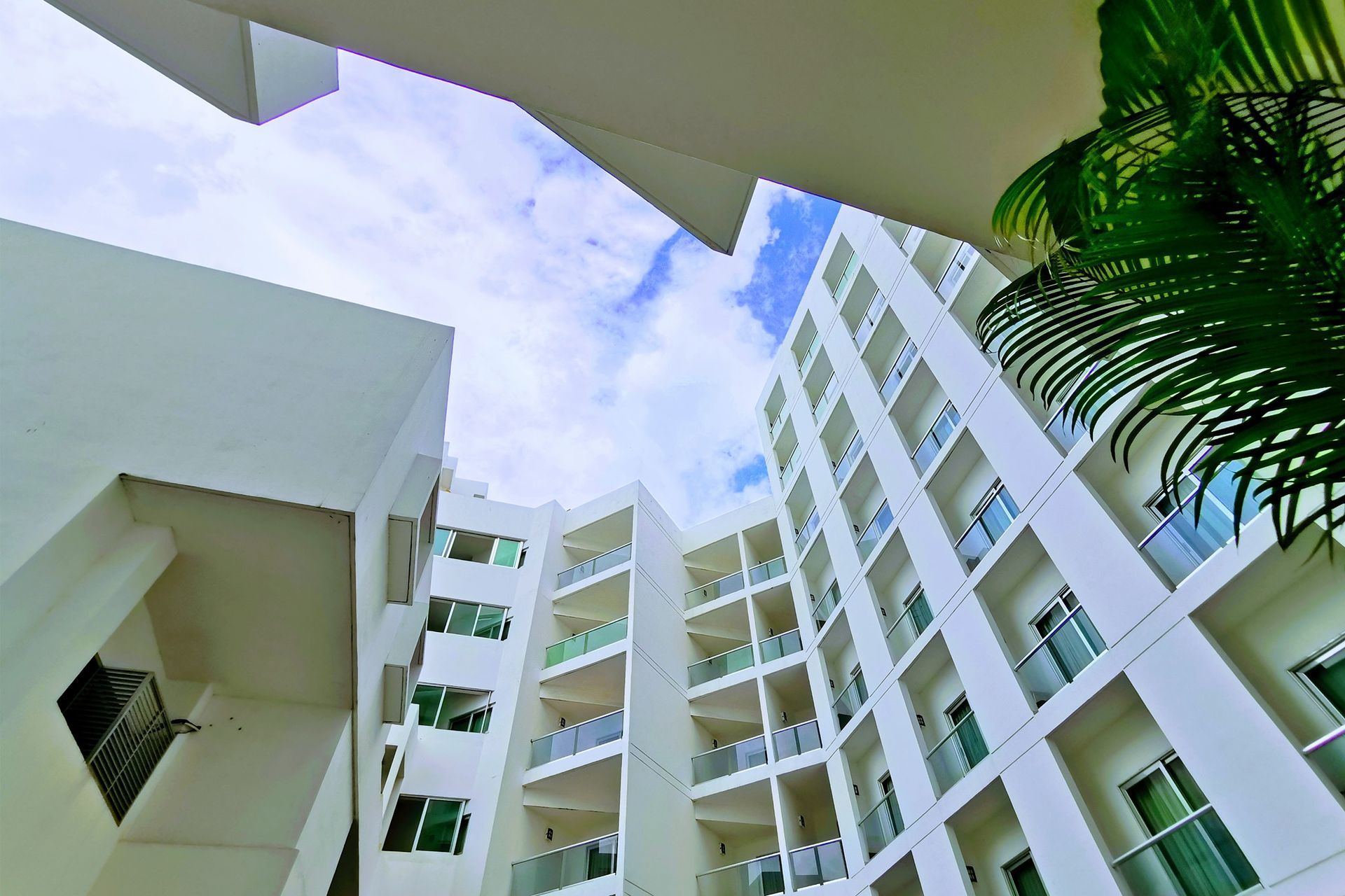 Looking up at a building with a palm tree in the foreground