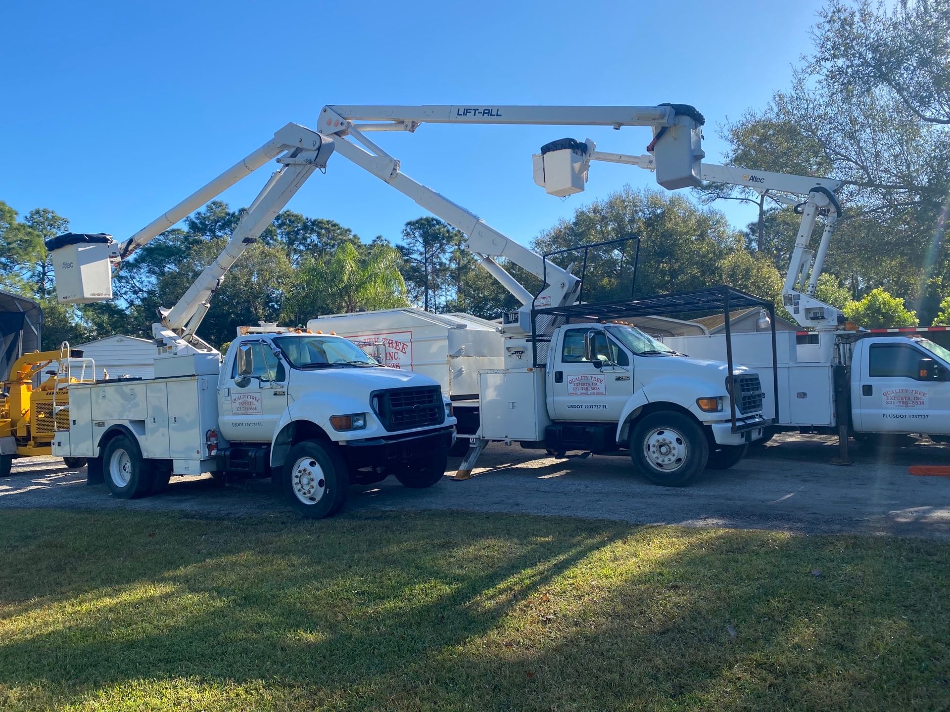 Stump Grinding Malabar, FL Quality Tree Experts Inc.