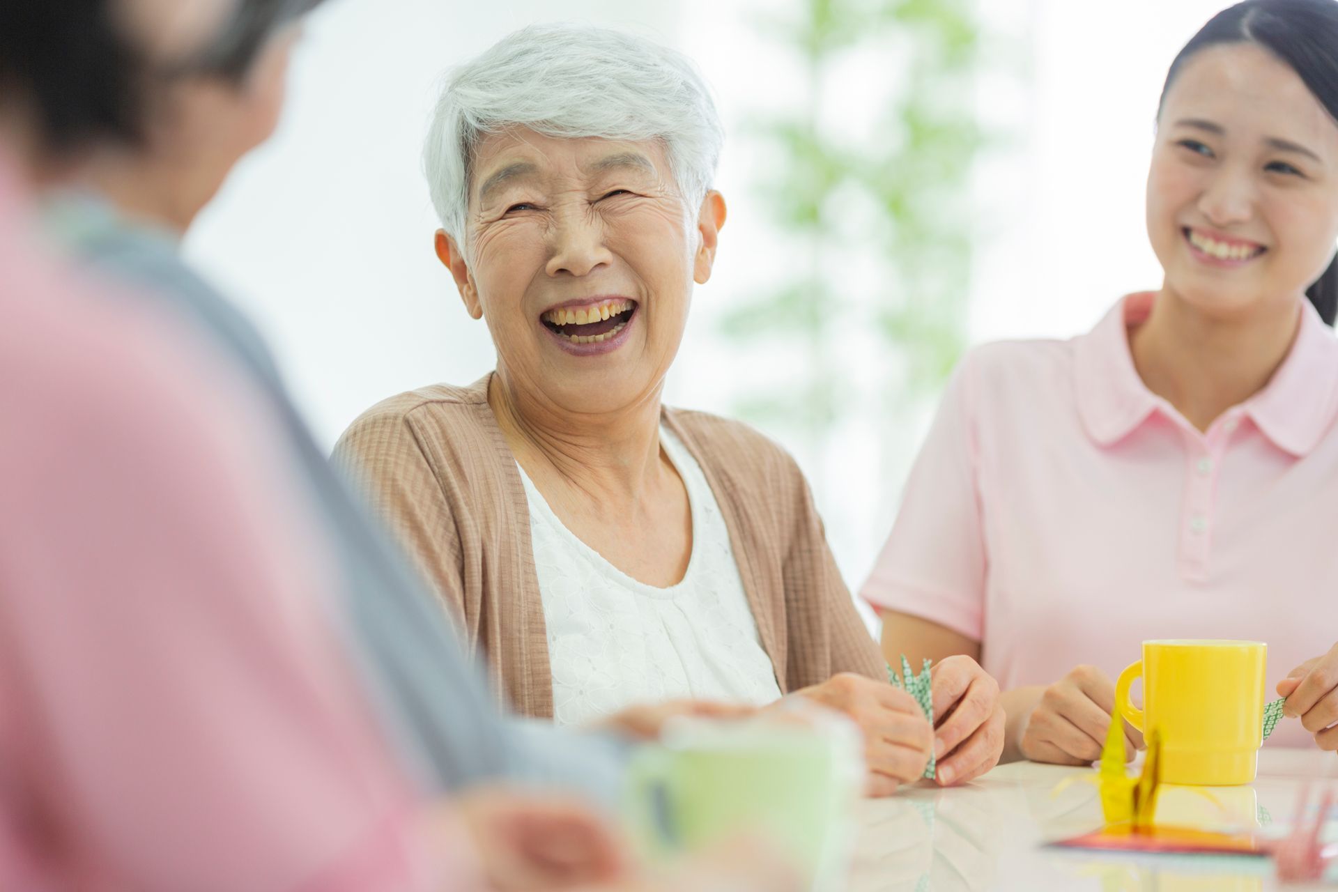 senior care social connection