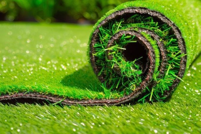 Close-up of a rolled green fern frond on a bright green background
