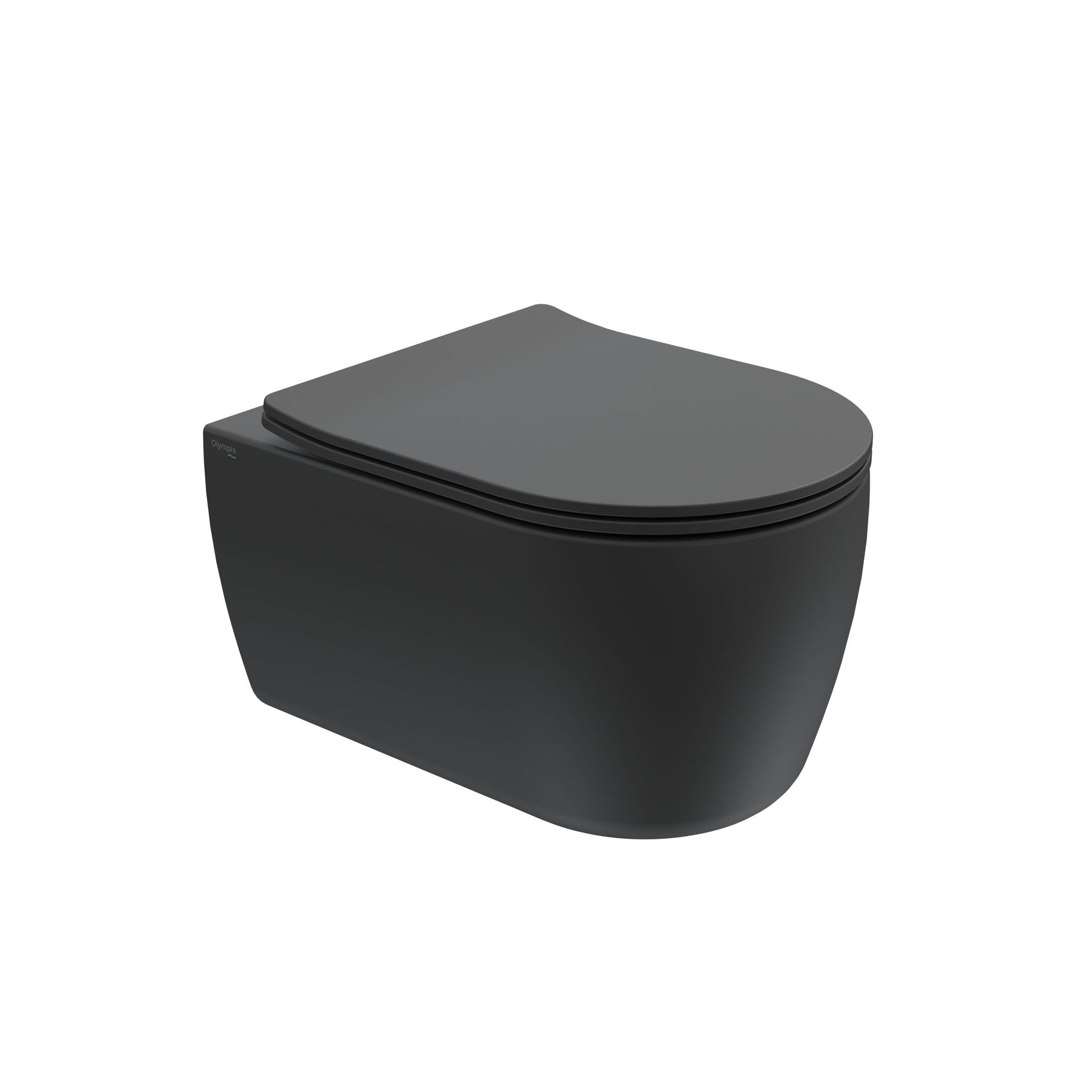 WC moderna, nera, con coperchio grigio su sfondo bianco.