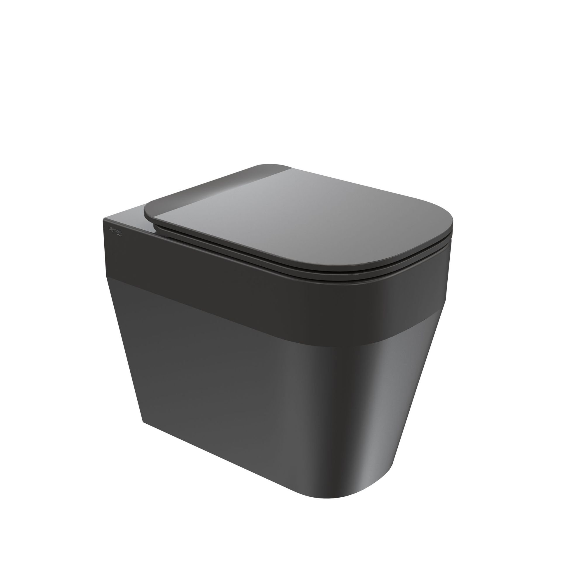 WC moderno grigio scuro con coperchio chiuso, isolato su sfondo bianco.