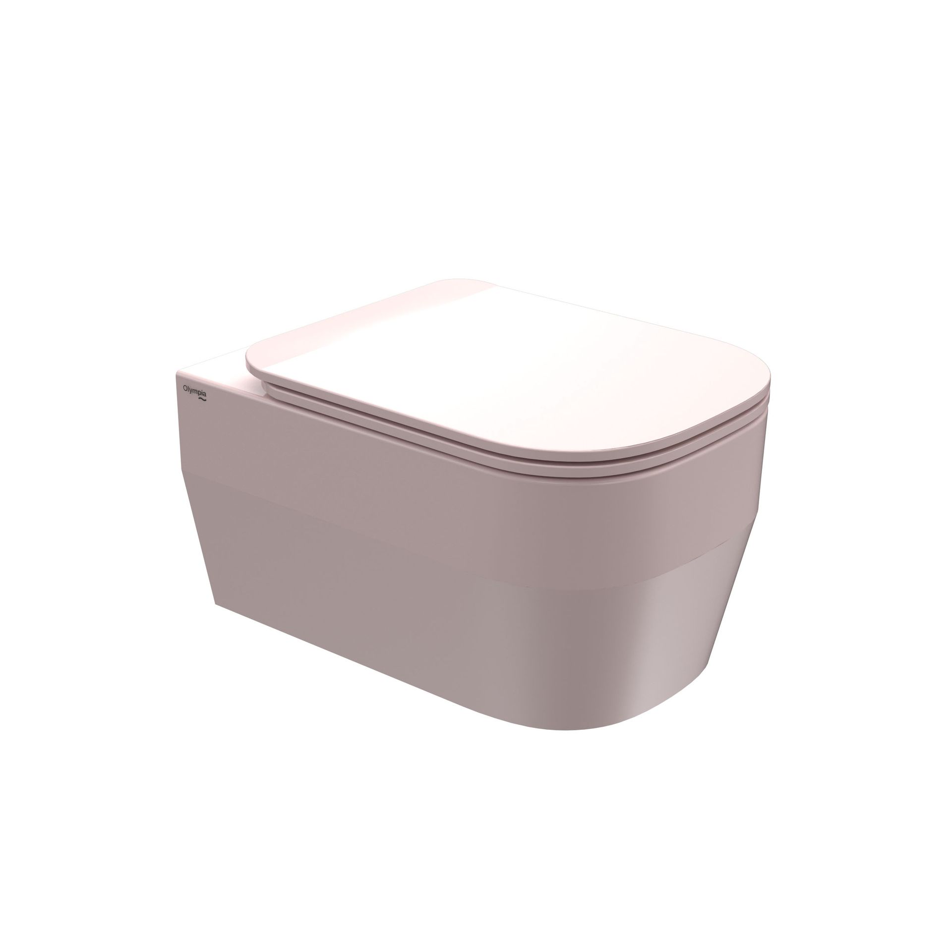 WC moderno sospeso, bianco e grigio, con coperchio.