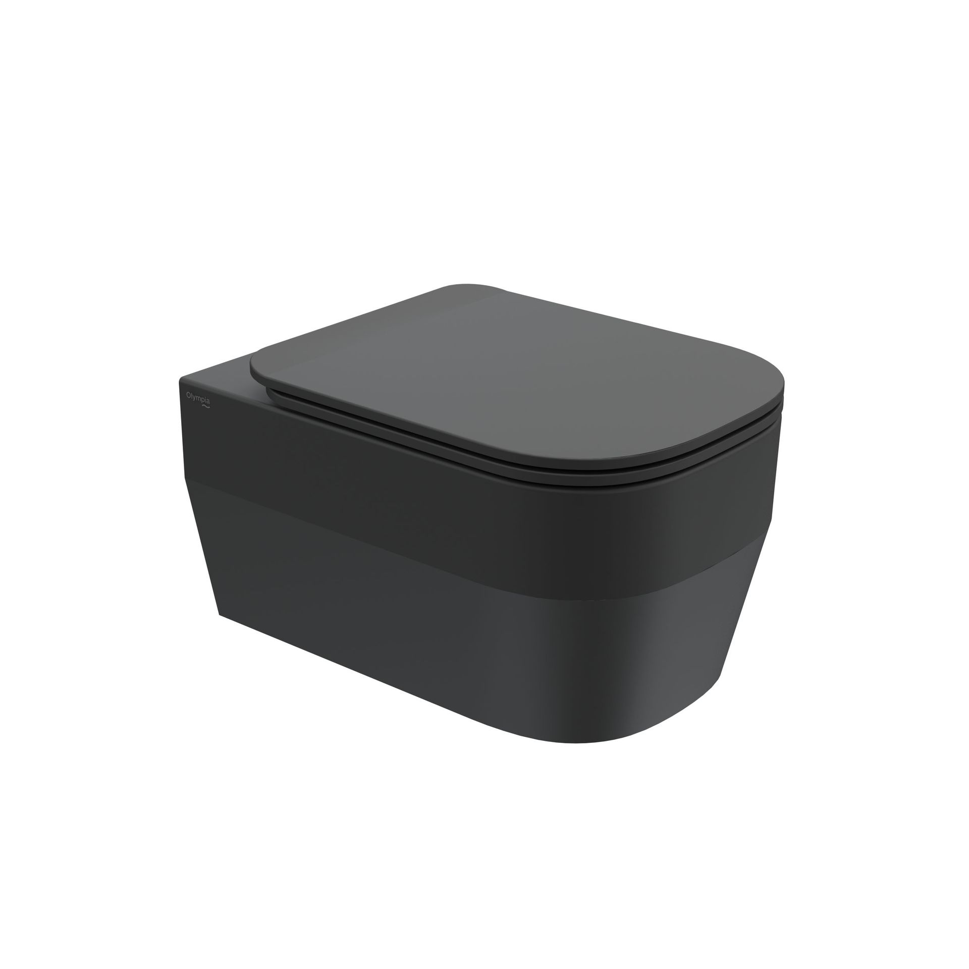 WC moderno nero con coperchio chiuso, mostrato in un semplice rendering 3D su sfondo bianco.