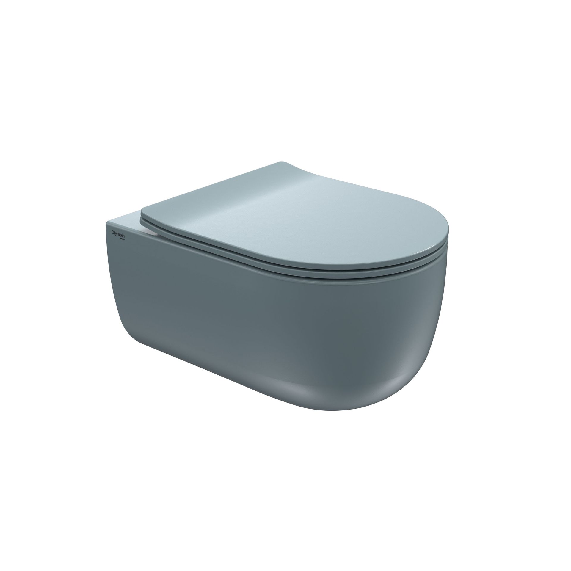 WC sospeso grigio con coperchio chiuso su sfondo bianco.
