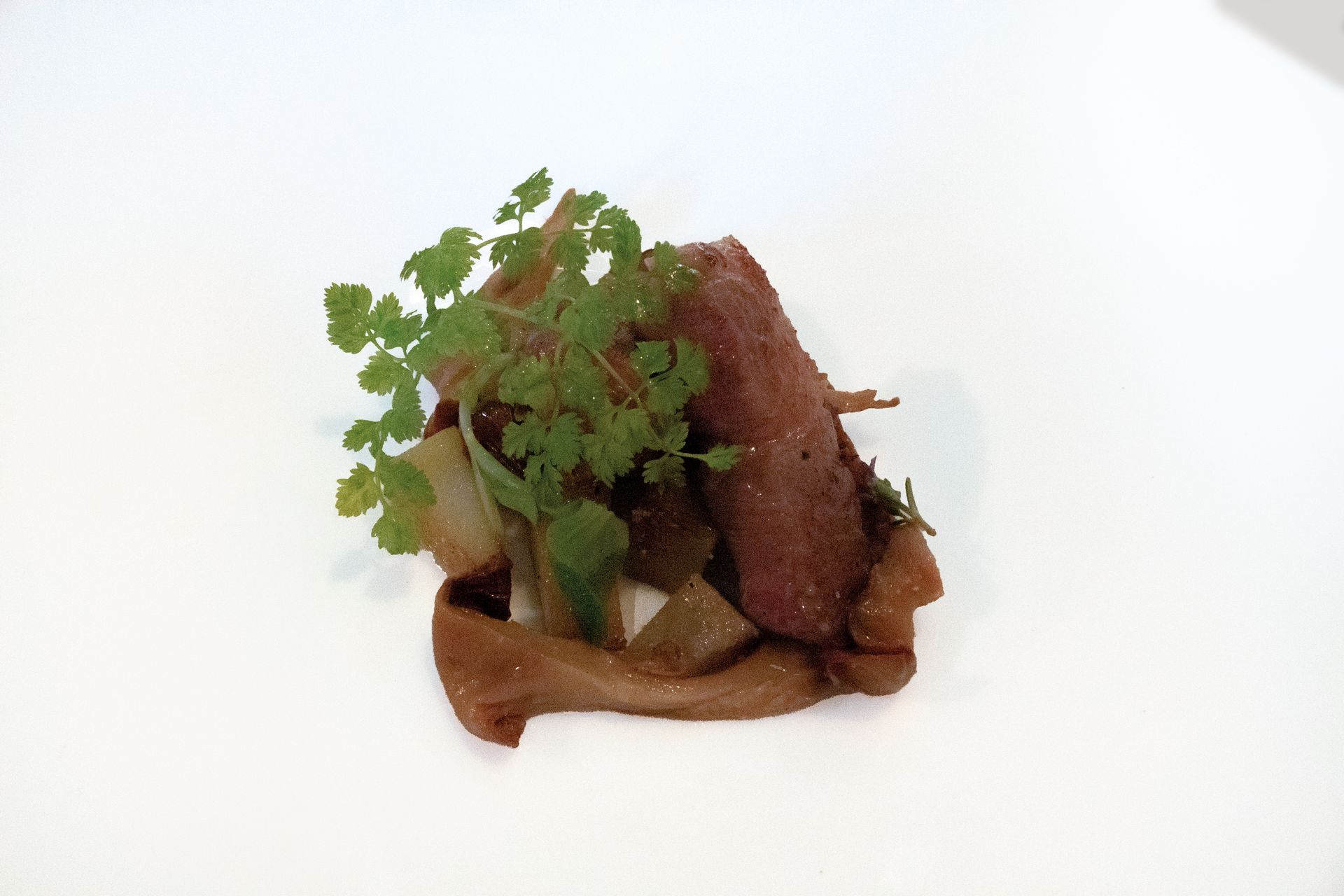 Piccola pietanza gourmet con carne rosolata e guarnizione verde su sfondo bianco.