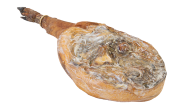 Una coscia di prosciutto crudo con zoccolo scuro, crosta marrone-arancio e marezzatura bianca su sfondo bianco.