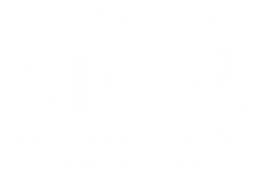 Schermo bianco vuoto con un sottile bordo nero nella parte inferiore.
