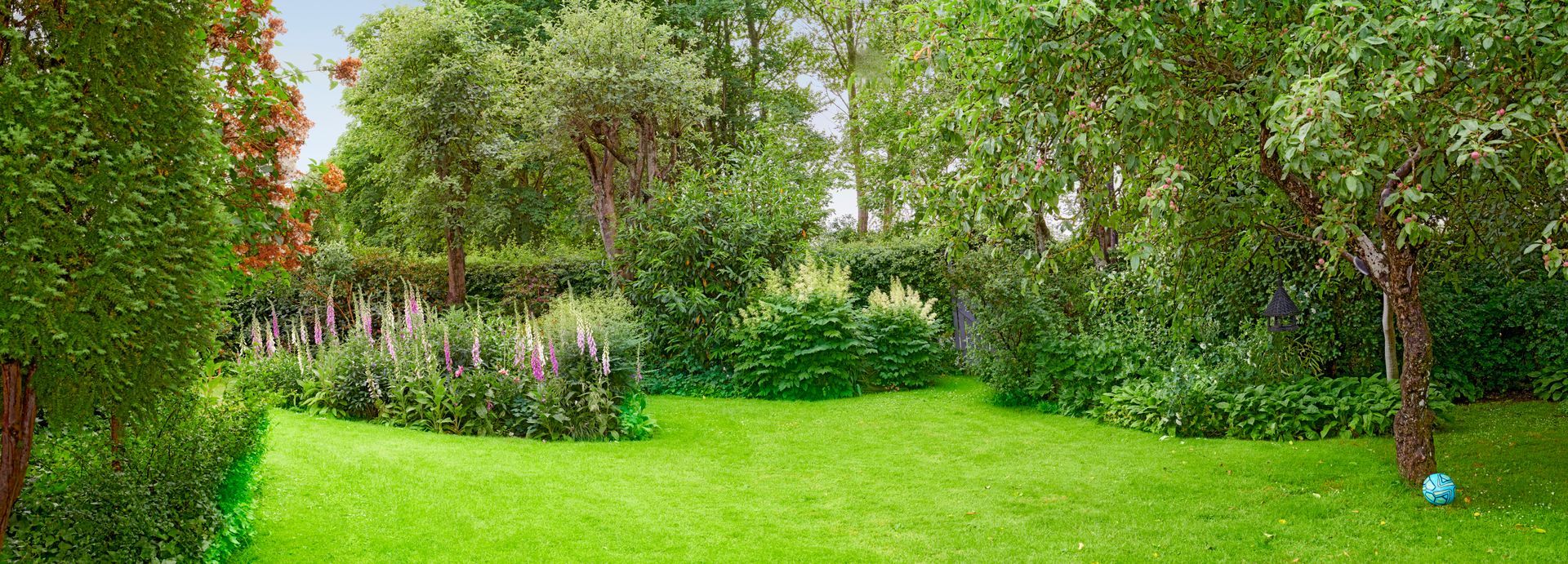 A lush green backyard with a grassy lawn, trees, and a hidden blue ball.
