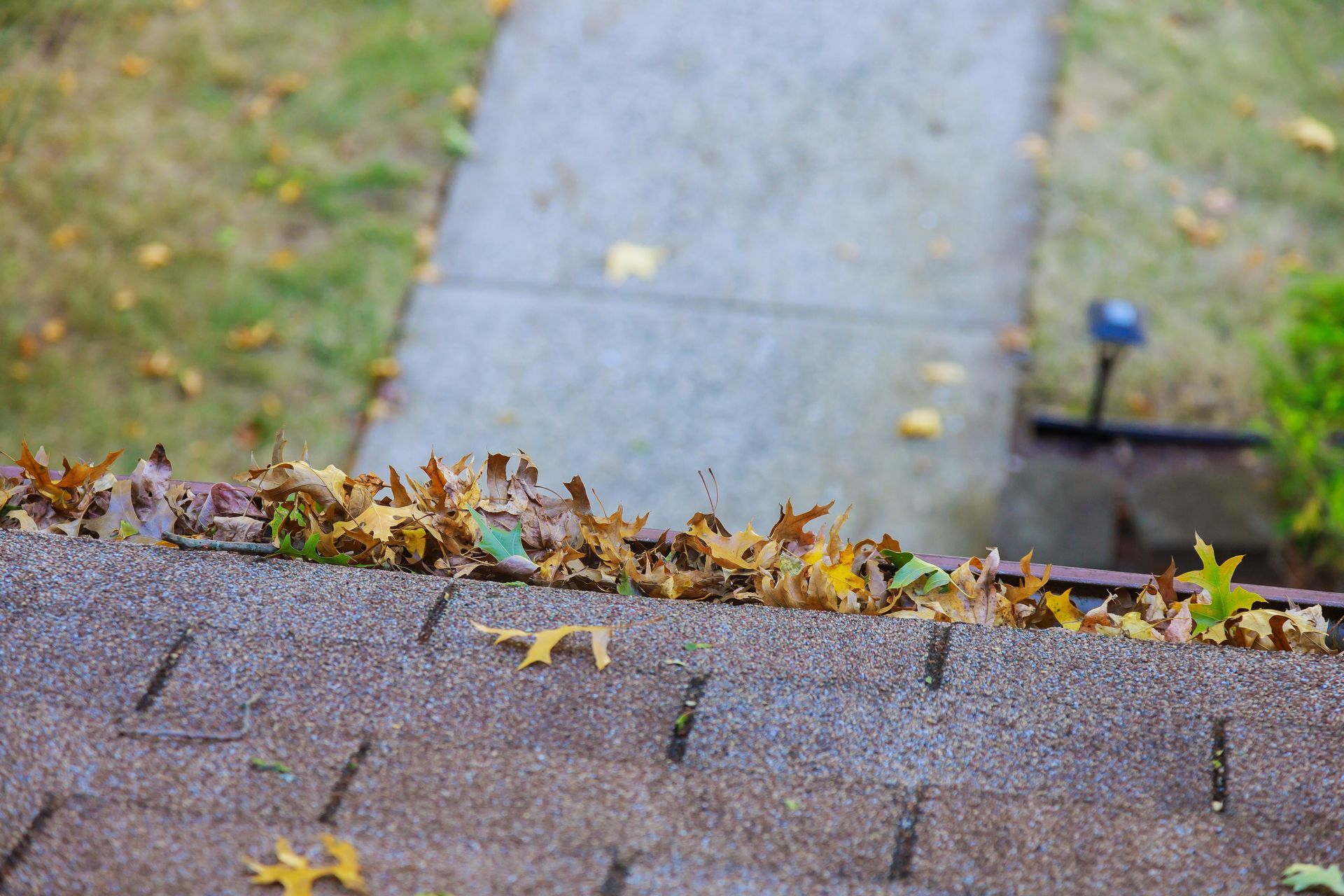 Leaves piled up on a brown shingled roof, with a sidewalk in the background.