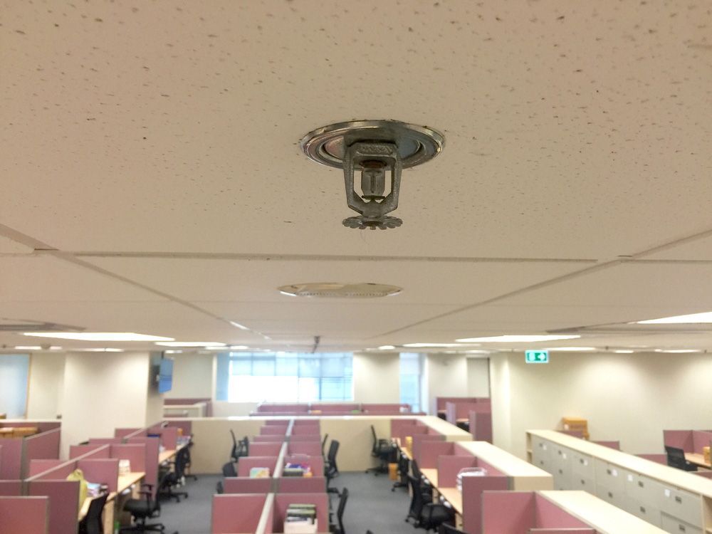 Office Interior with Cubicles and Ceiling-Mounted Fire Sprinkler System - Central West NSW