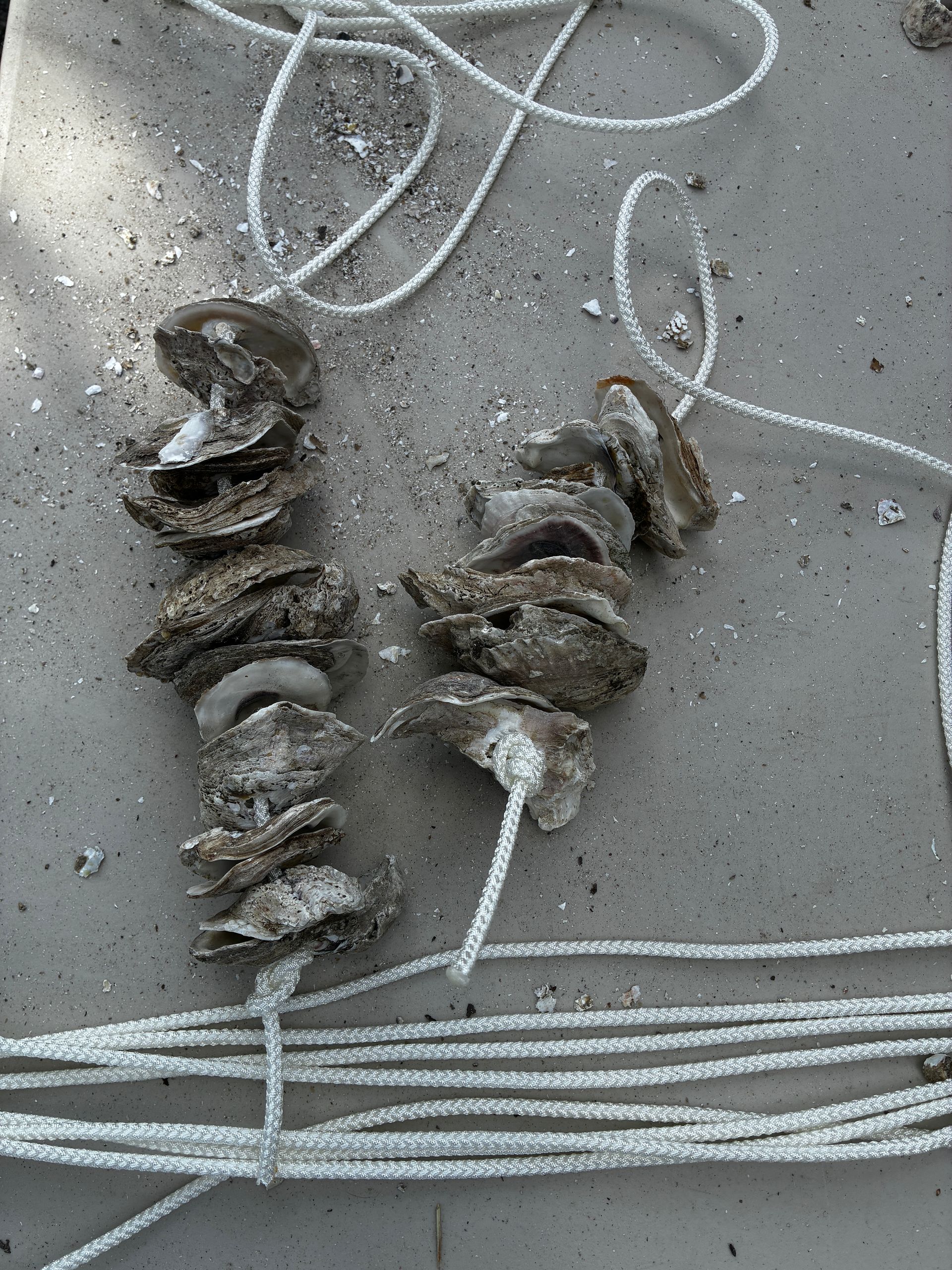 Two rusty metal springs or coils on a concrete surface beside white ropes or cords