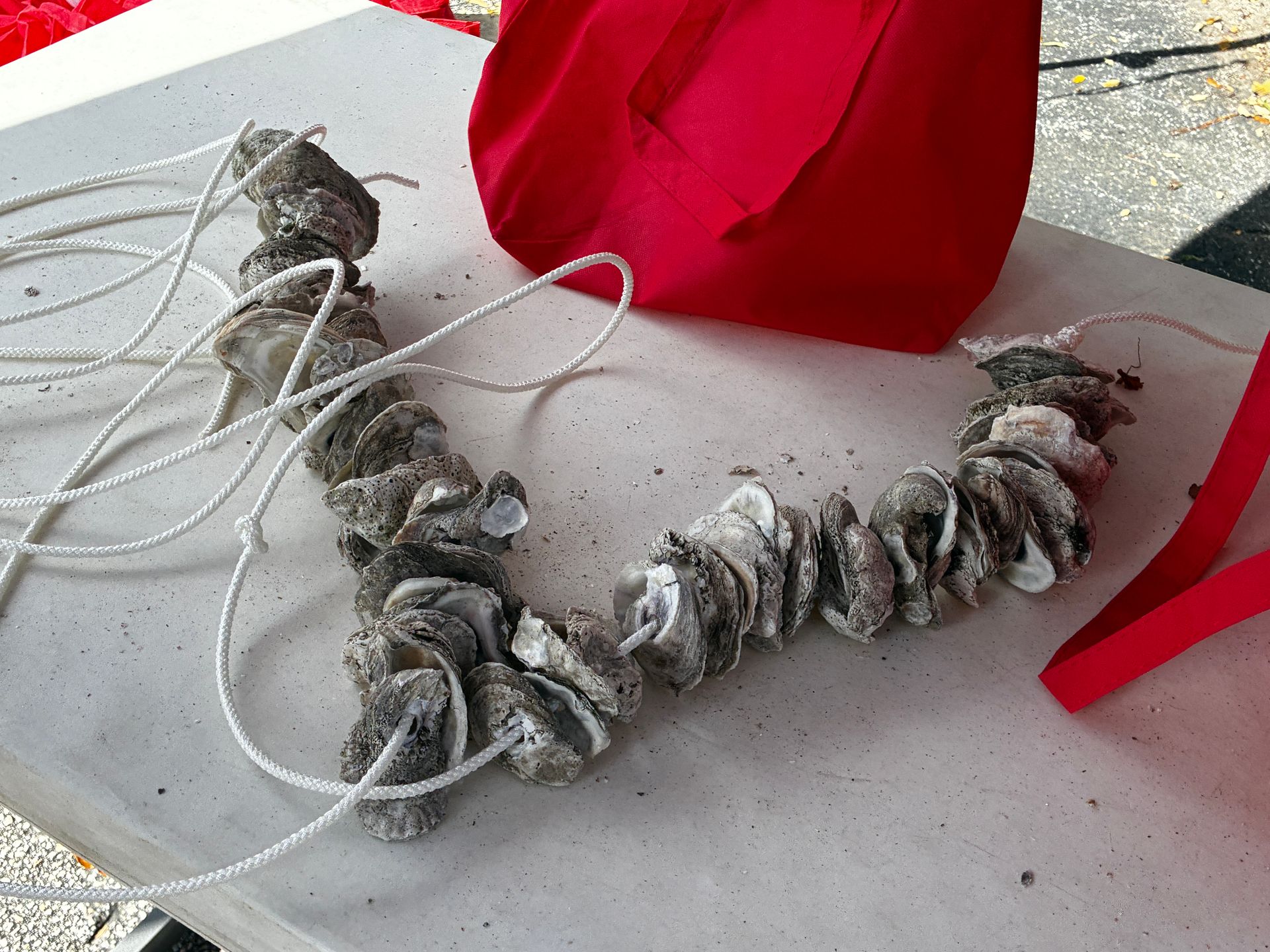 Two white shell necklaces beside a red bag on a light tabletop.
