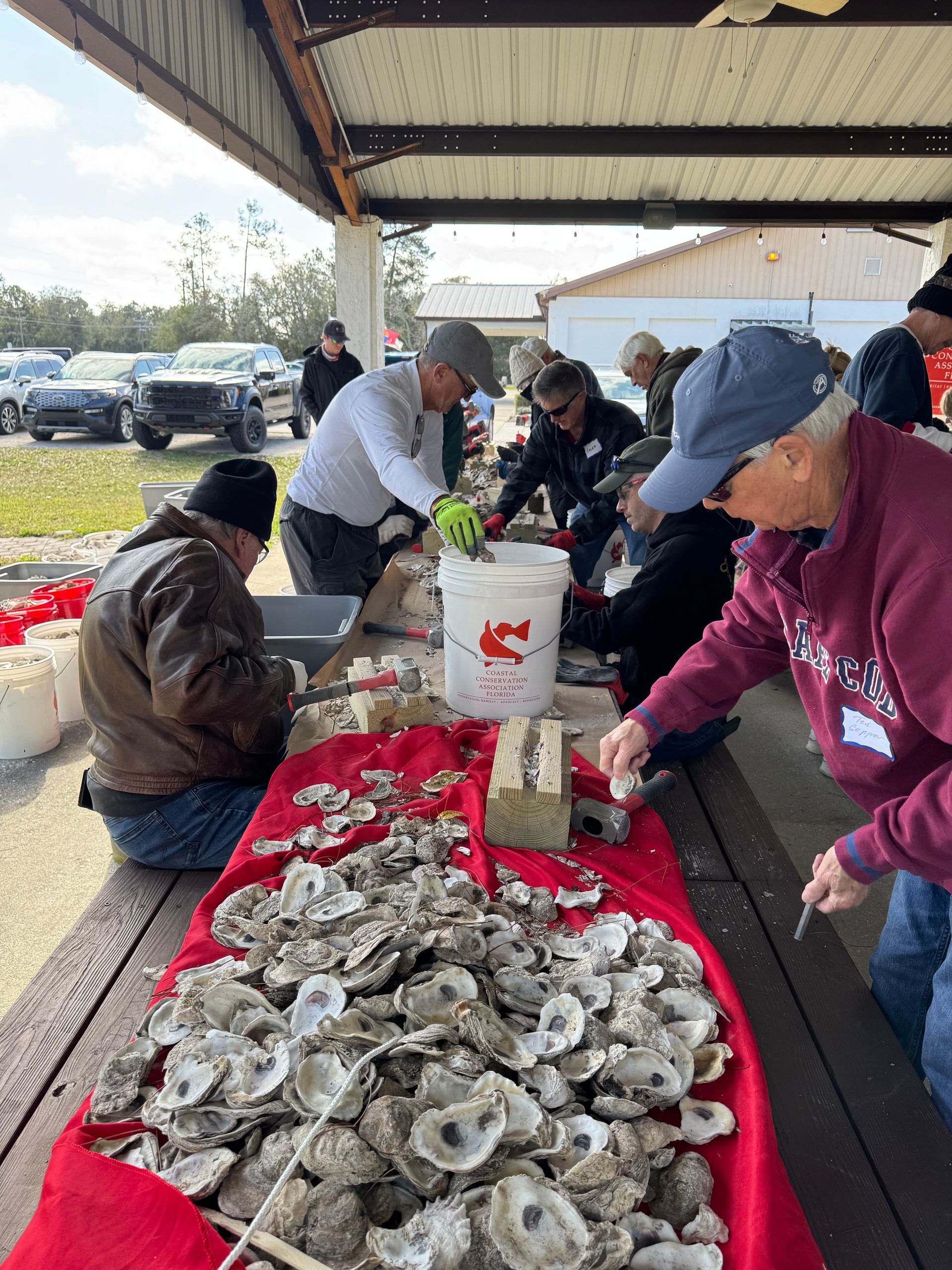 People sorting oysters at a covered outdoor market table with red trays and white buckets