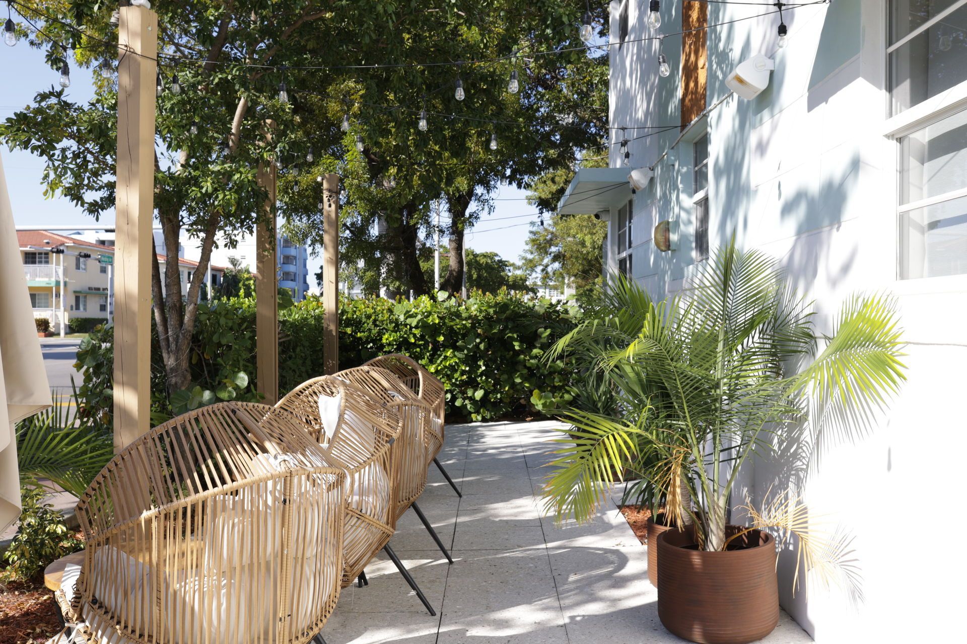 Outdoor patio with woven chairs, potted plants, and a light-colored building.