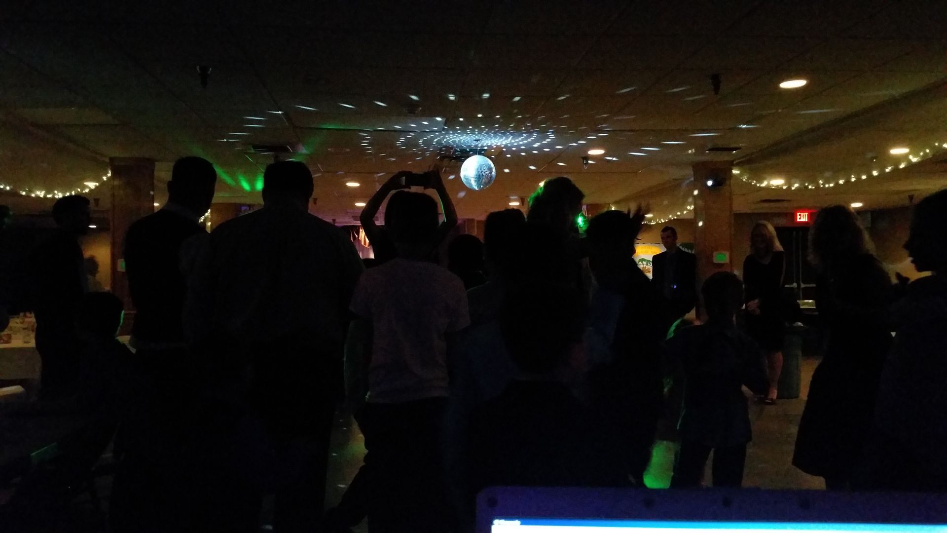 Silhouetted crowd in a dimly lit concert venue with green and warm stage lights in the background