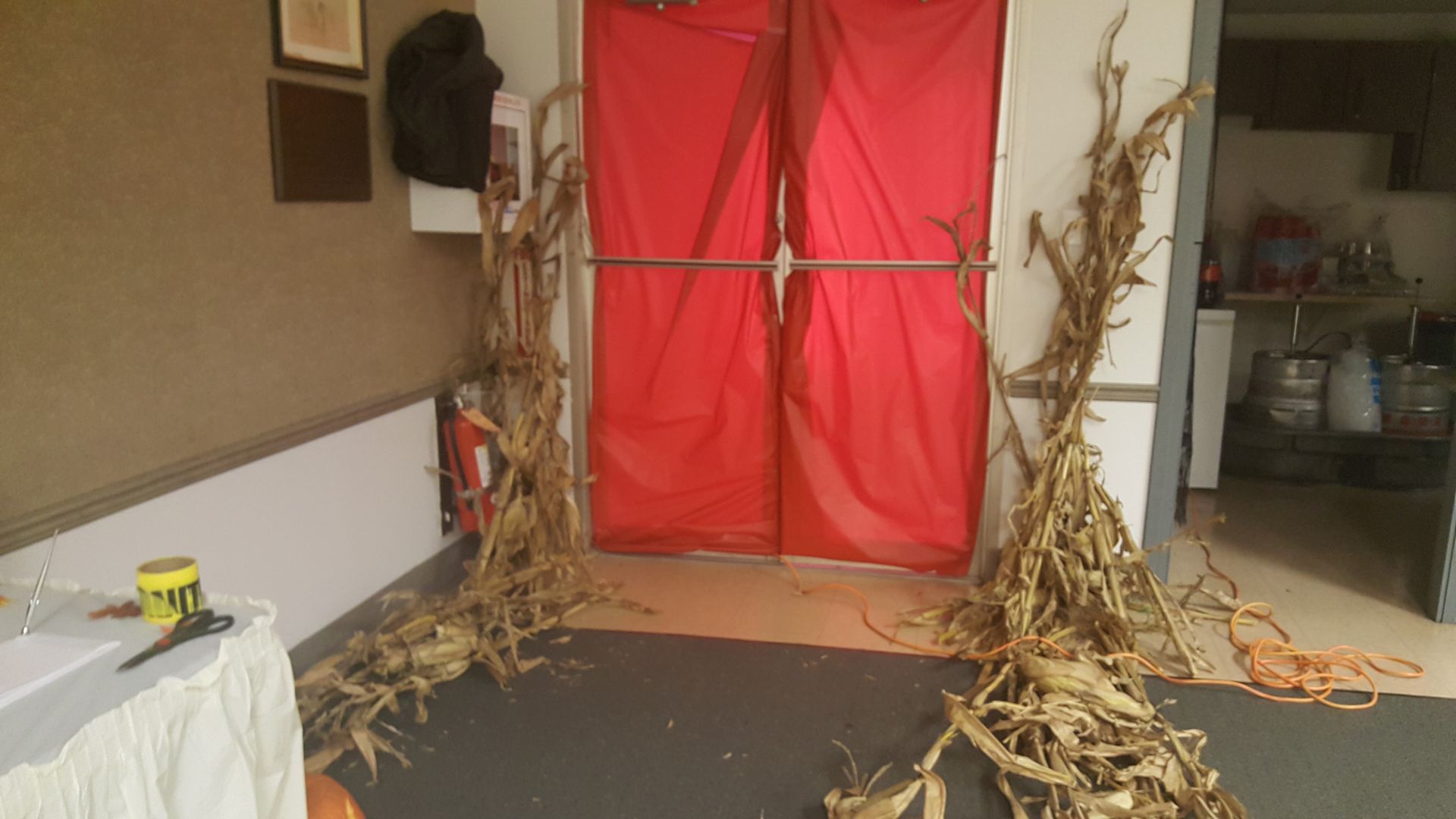 Red curtain backdrop with dried cornstalk decorations in a hallway-like indoor space.