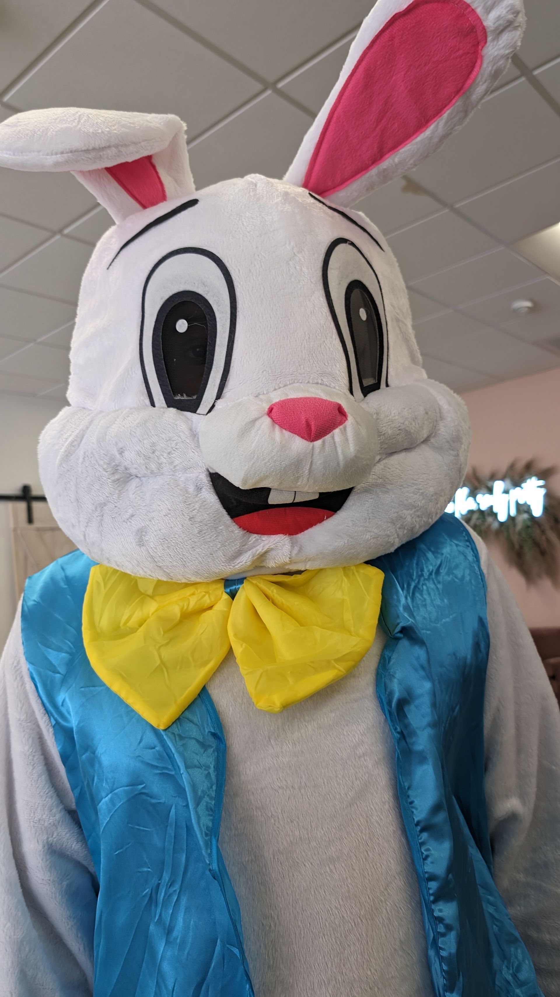 Person in a white rabbit costume with pink ears, yellow bow tie, and blue jacket indoors