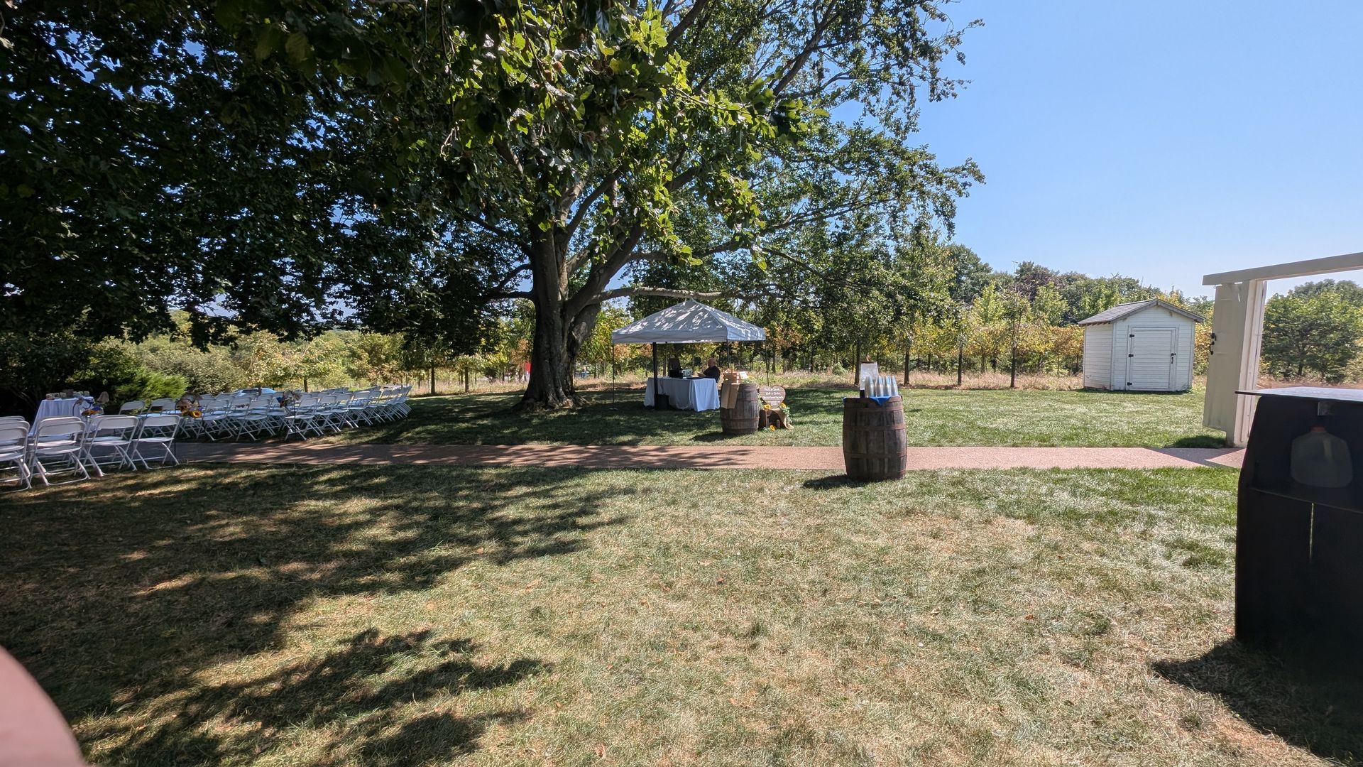 Shaded outdoor seating area with rows of white chairs, a large tree, and a brick path on a sunny day