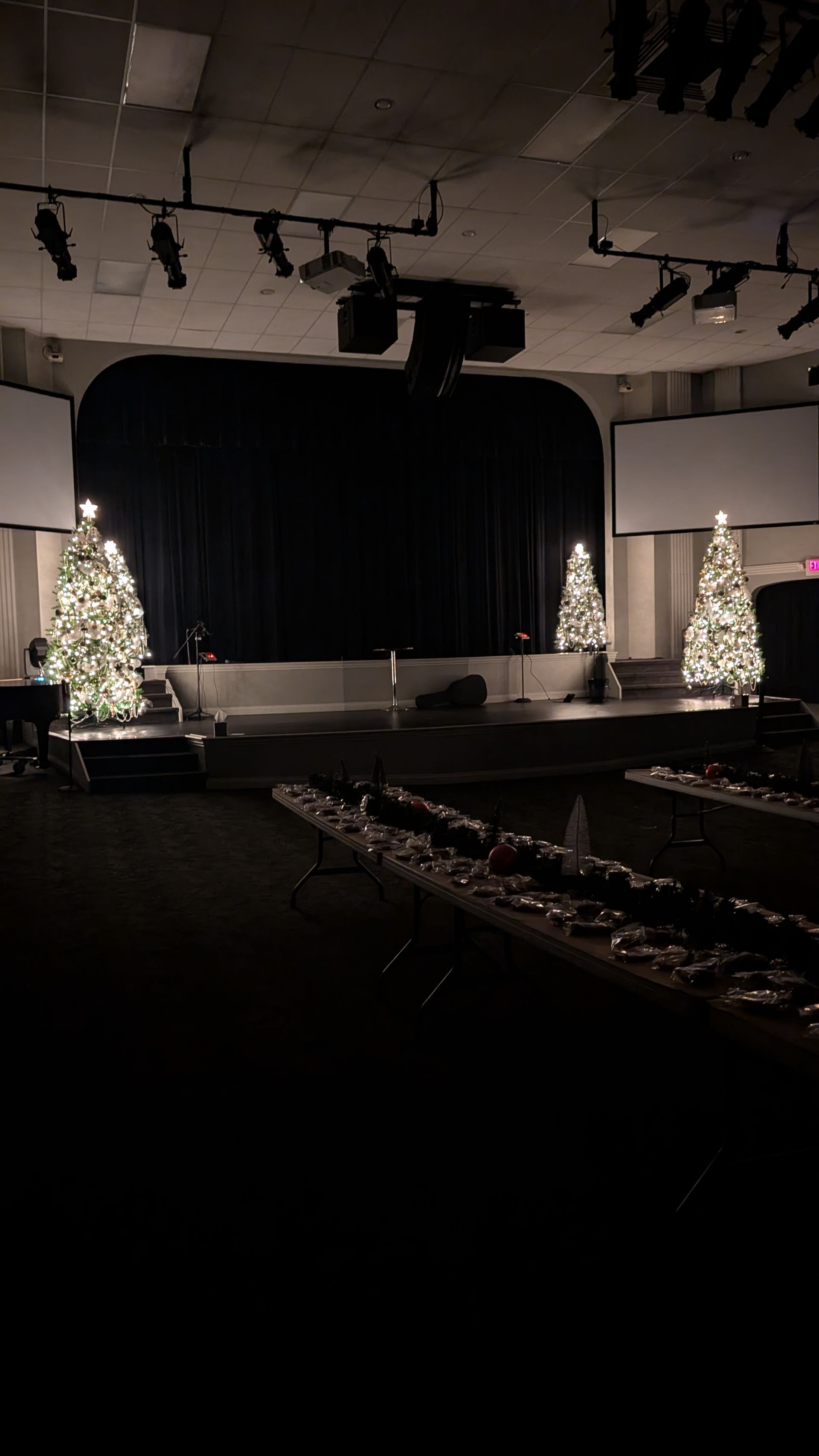 Theater stage with black curtain, holiday trees, and rows of seating in a dim auditorium