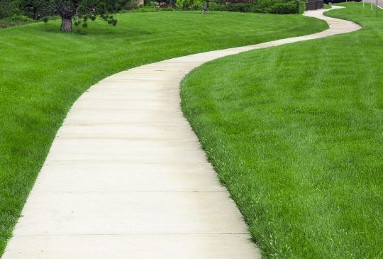 A Concrete Walkway Going Through A Lush Green Field — Pigot's Midwestern Mini Mix In Orange, NSW