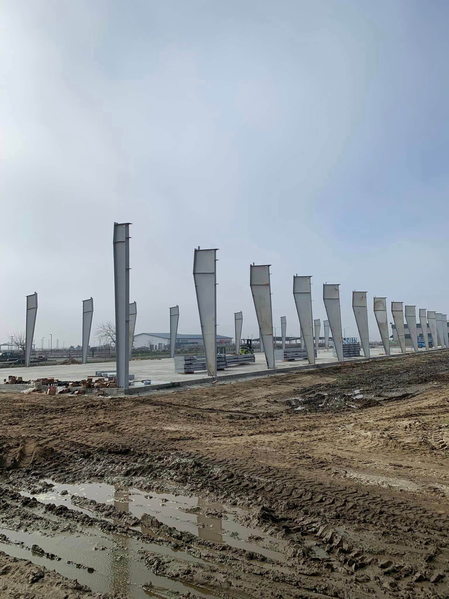 A row of concrete poles are lined up in a muddy field