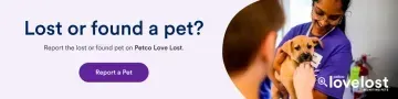 Lost pet banner with woman holding a small dog, purple Report a Pet button, and LoveLost logo