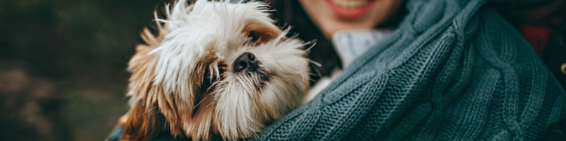 Small fluffy dog in a teal blanket being held close, with a smiling person in the background