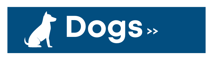 Blue banner with white dog silhouette and the word “Dogs” followed by double arrows.