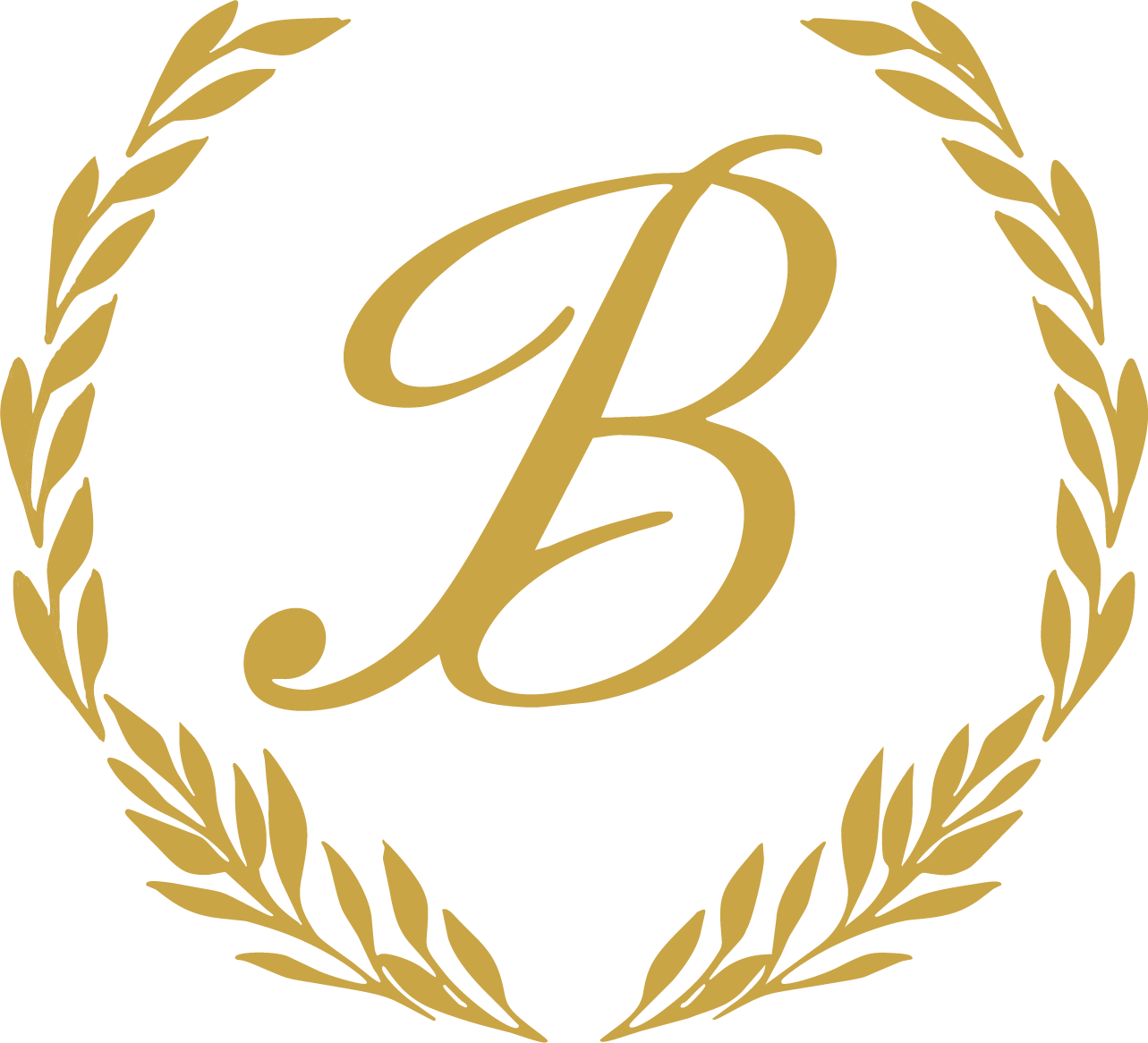 logo-image
