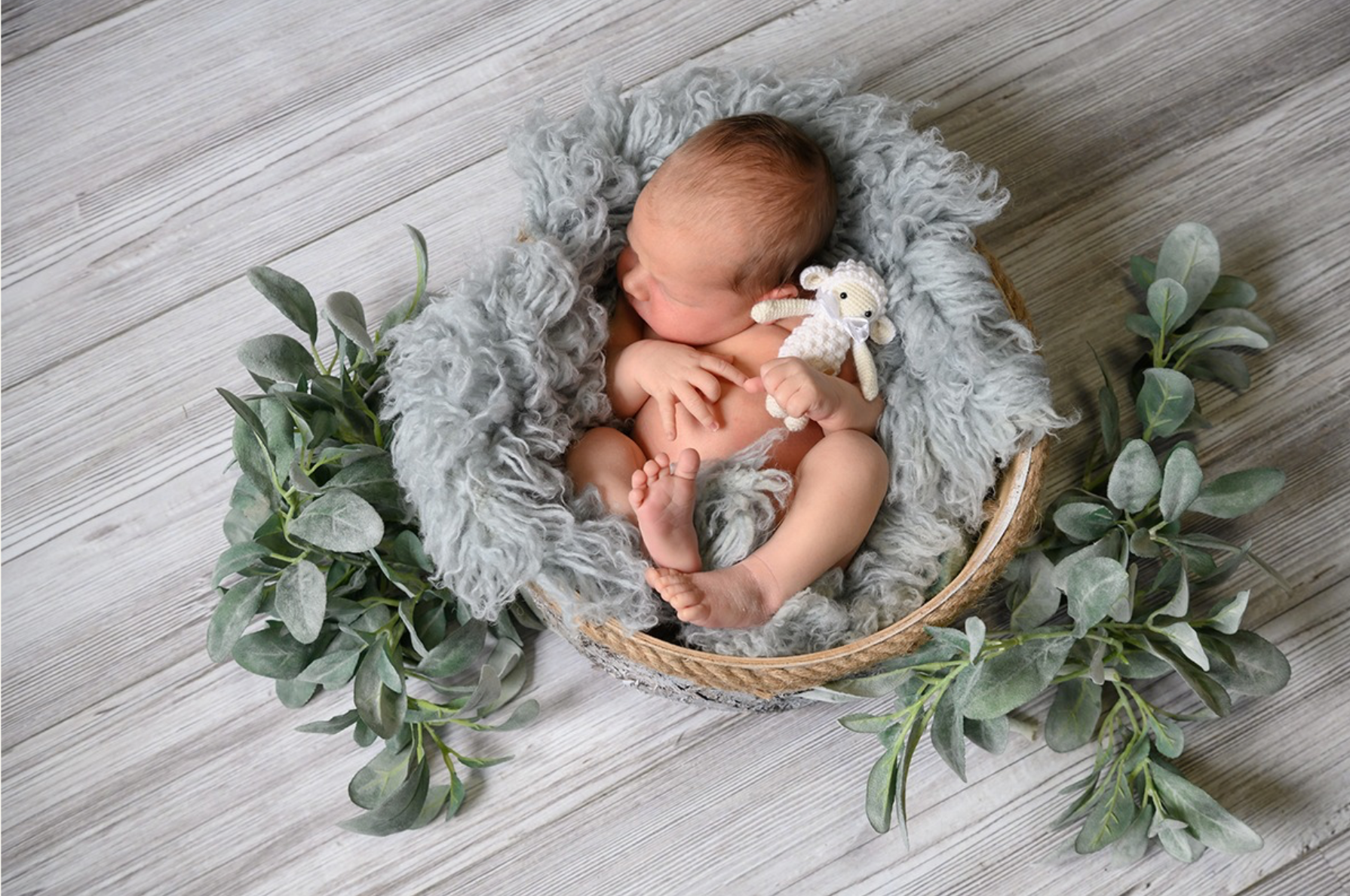 Een pasgeboren baby slaapt in een mandje met een knuffeldier.