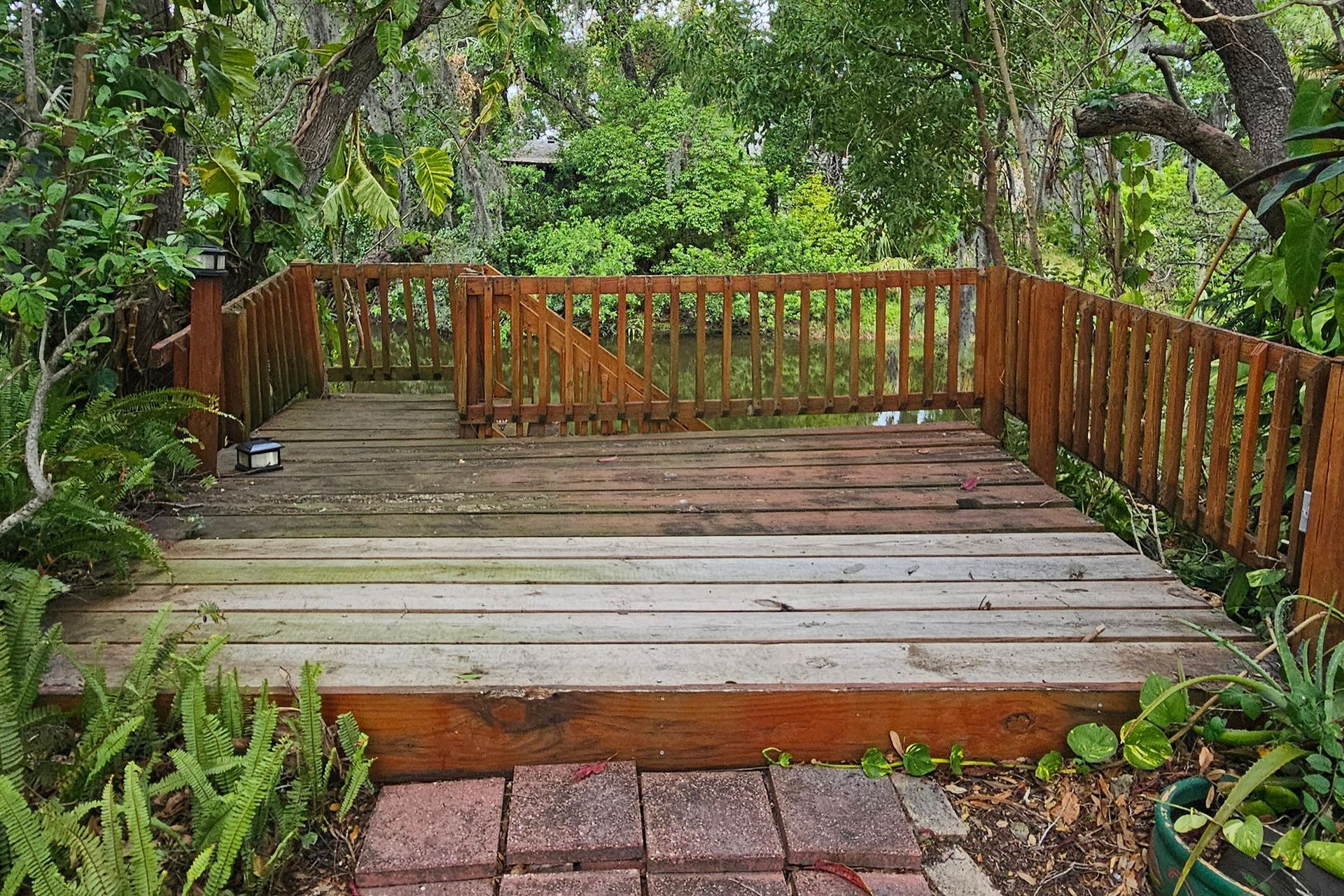 Wooden deck with railings surrounded by lush green trees and plants