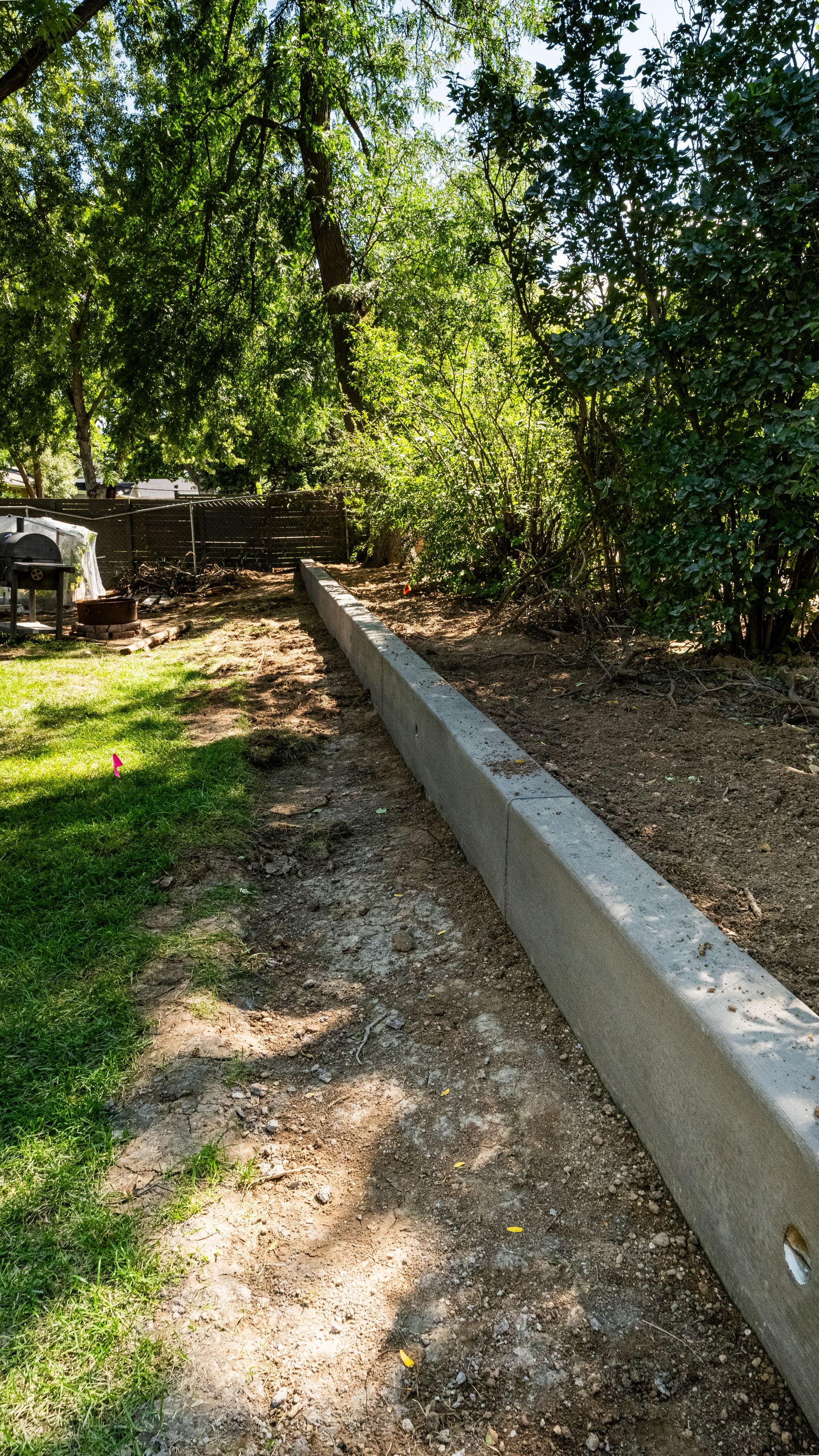 Narrow garden path beside a raised concrete wall, bordered by grass and dense trees in sunlight