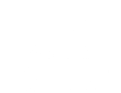 Mostly blank white image with a black horizontal bar along the bottom.
