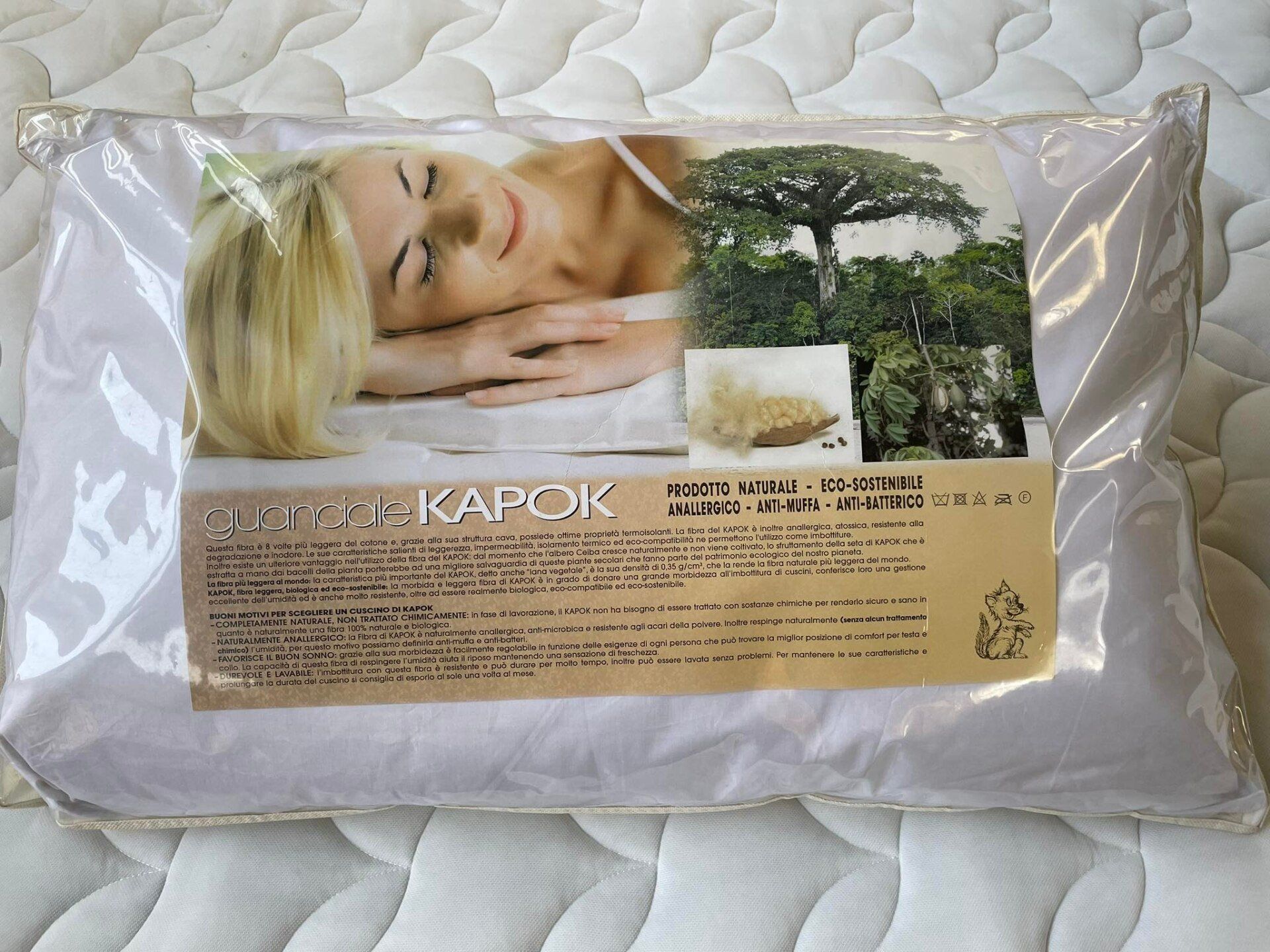 KAPOK