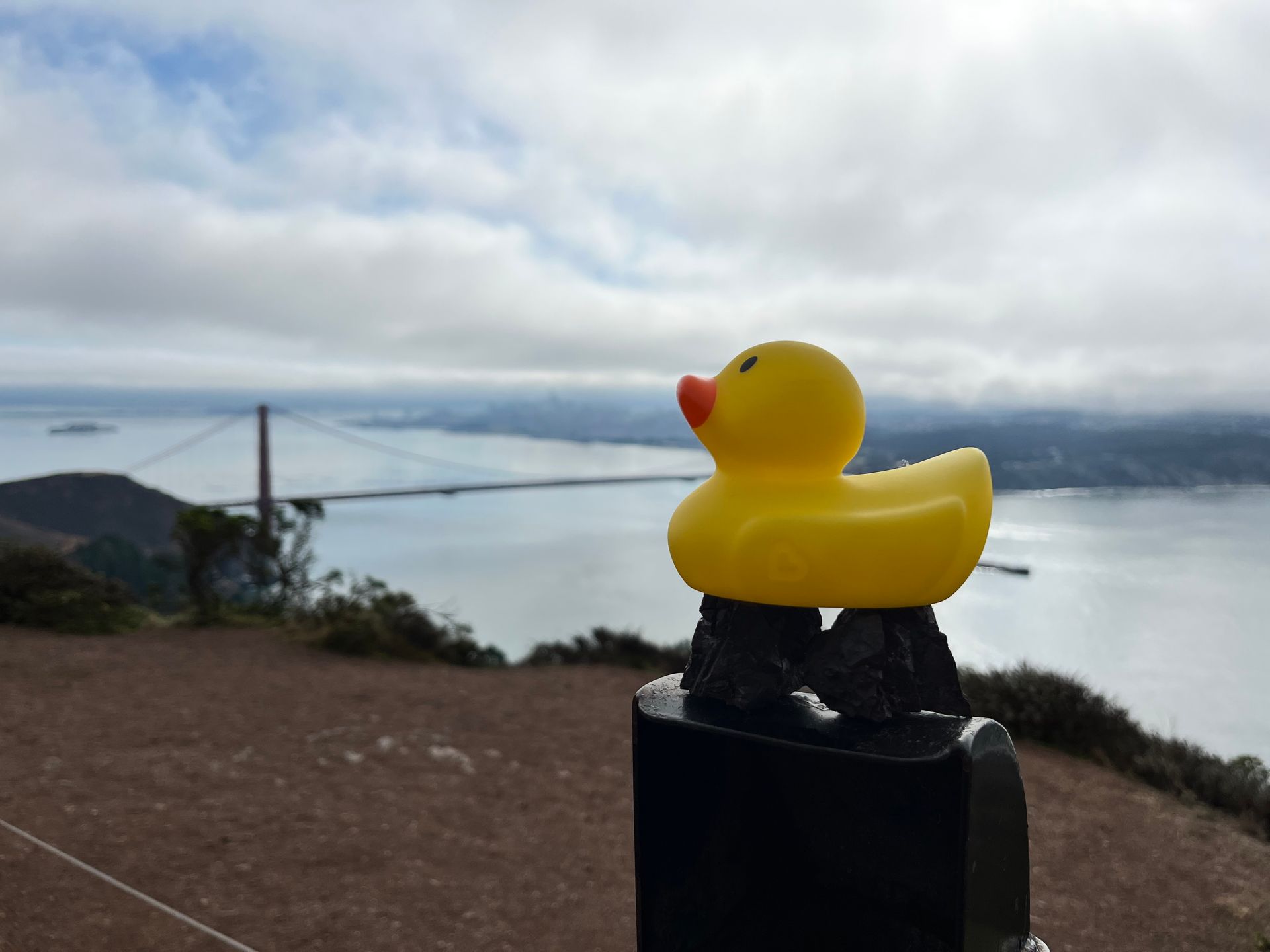 A yellow rubber duck is sitting on top of a black pole.