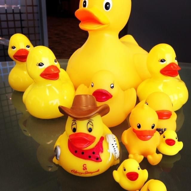 A group of yellow rubber ducks with one wearing a cowboy hat