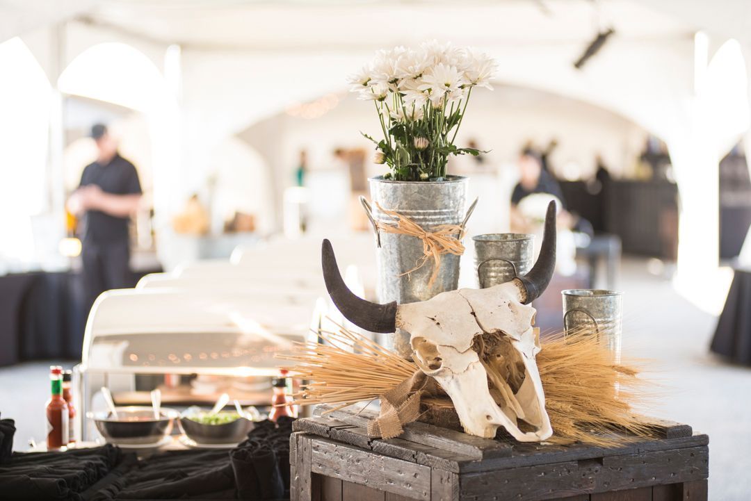 A bull skull is sitting on top of a wooden table.