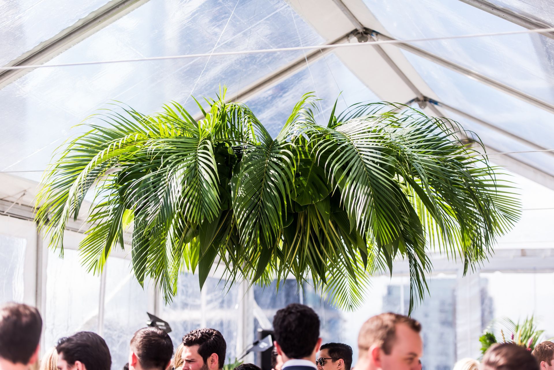 A group of people are standing under a clear tent with ferns hanging from the ceiling.