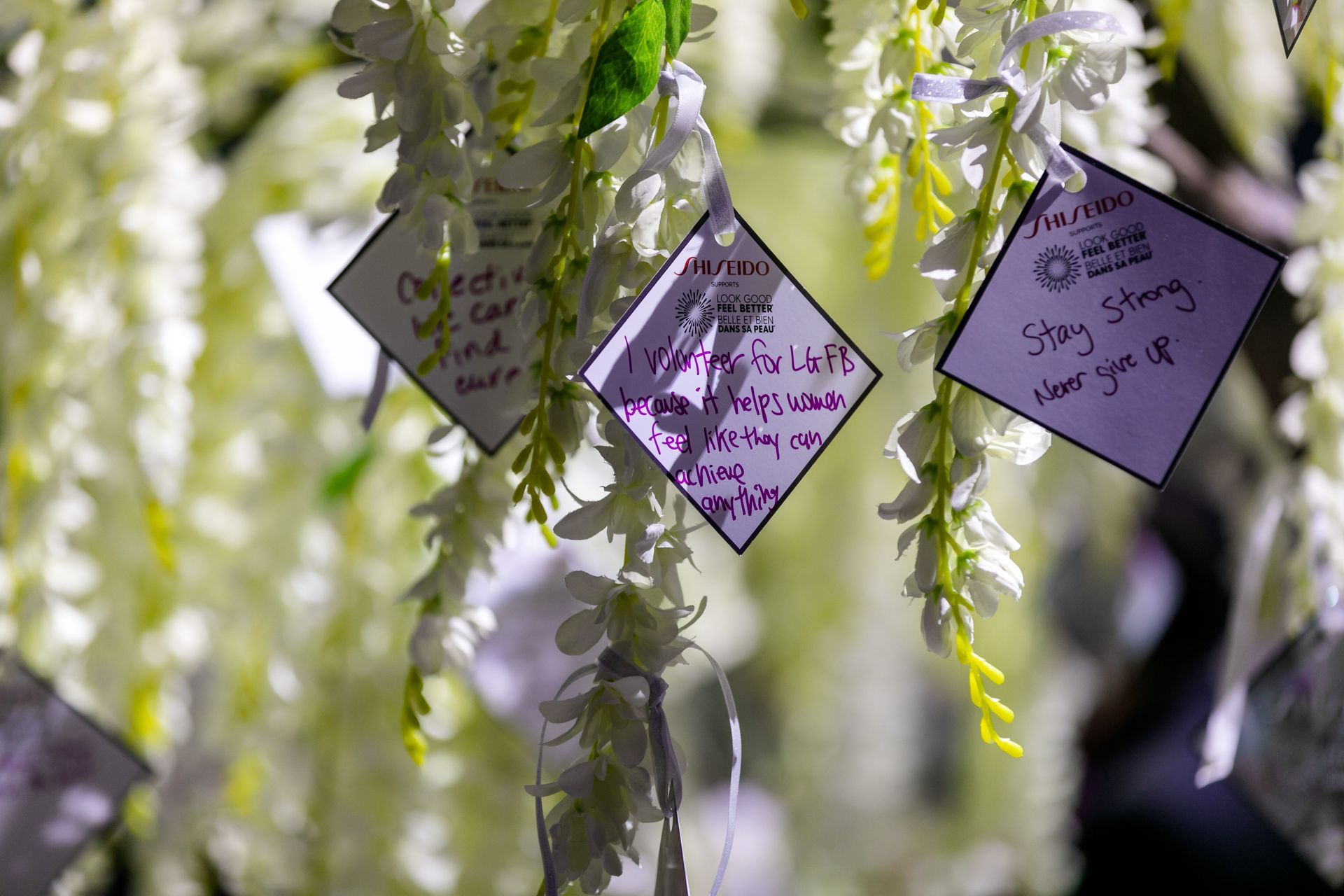 A tree with white flowers and cards hanging from it.