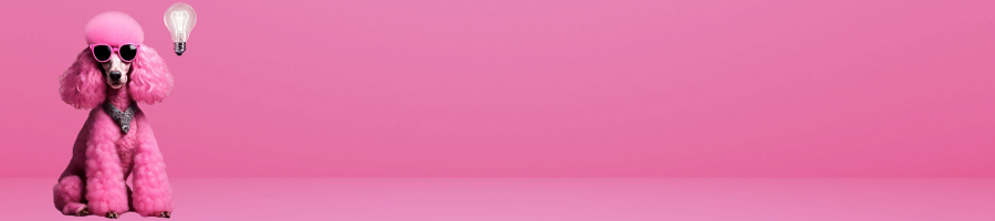 A pink poodle is holding a light bulb on a pink background.