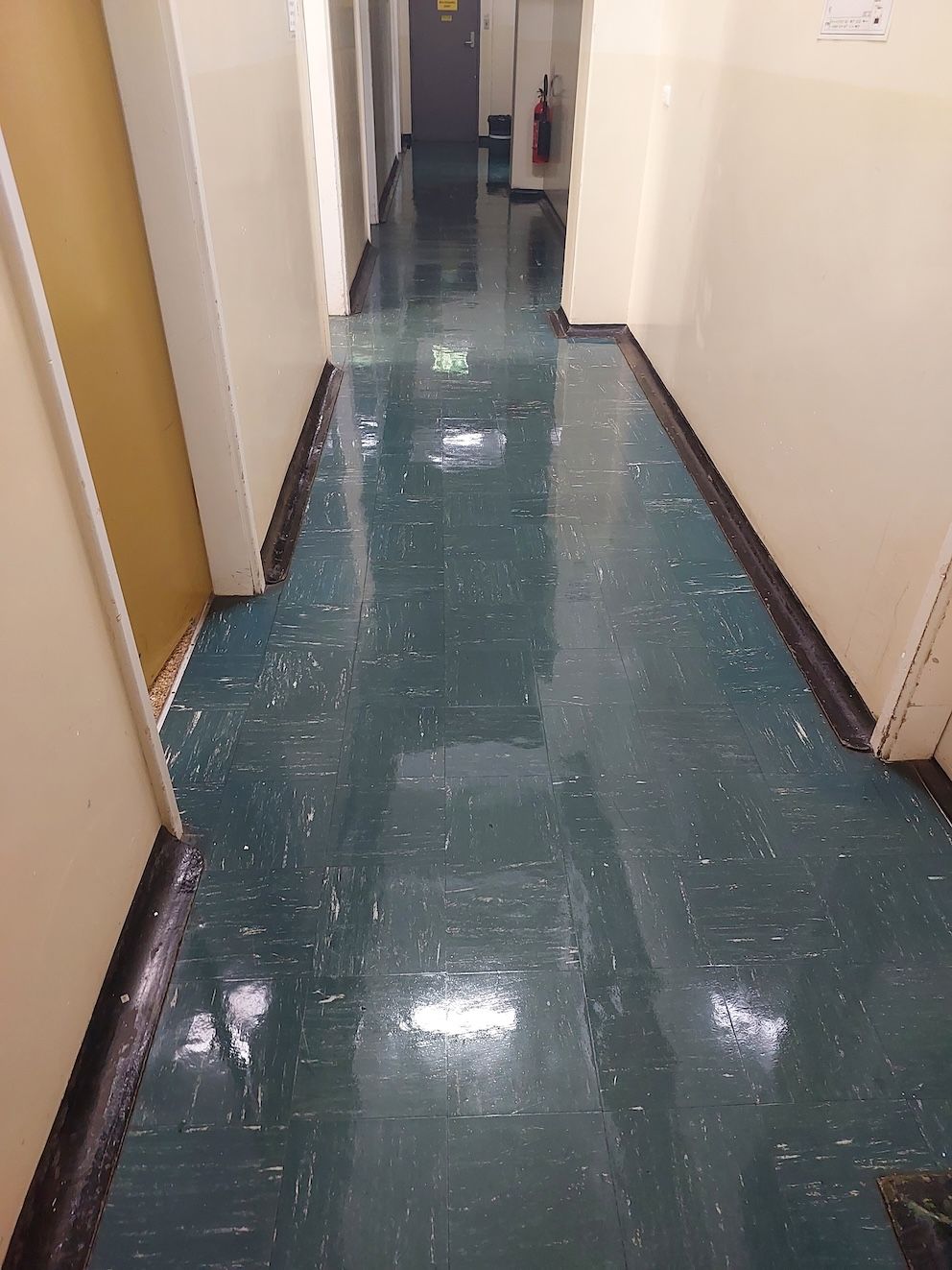 A Narrow Hallway with Teal Floor and Walls — Pristine Cleaning Bundaberg In Kalkie, QLD