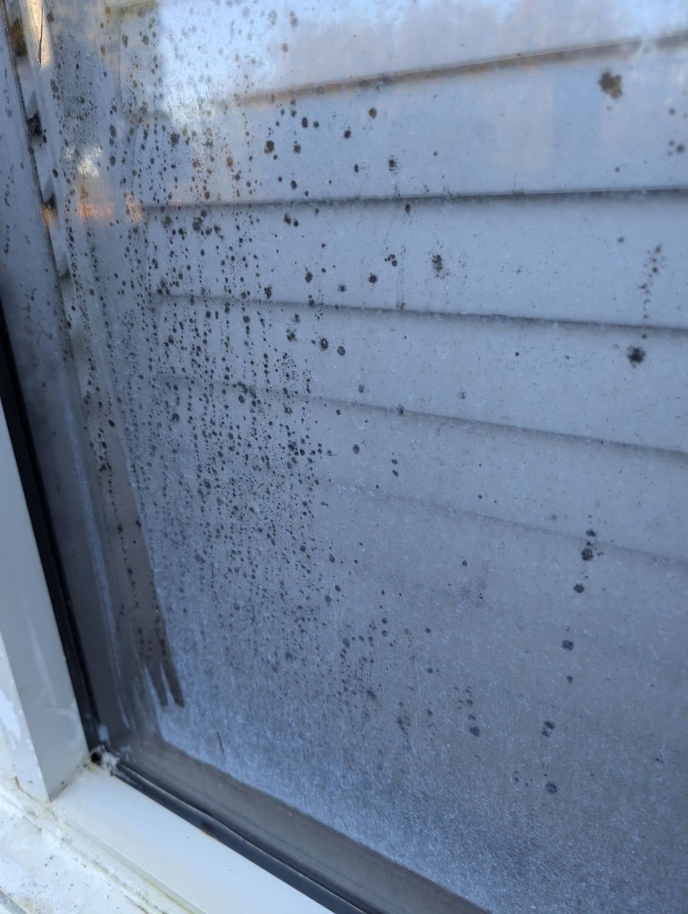 A Condensation and Dark Spots on A Window Pane — Pristine Cleaning Bundaberg In Kalkie, QLD
