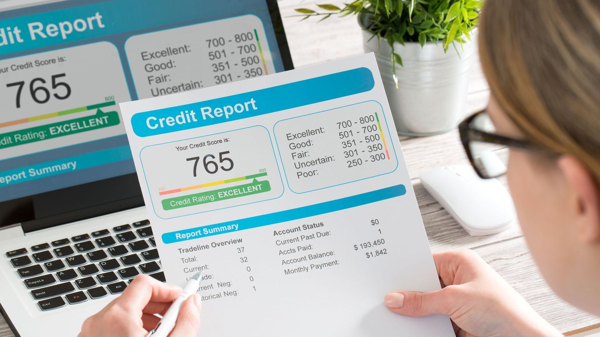 credit report
