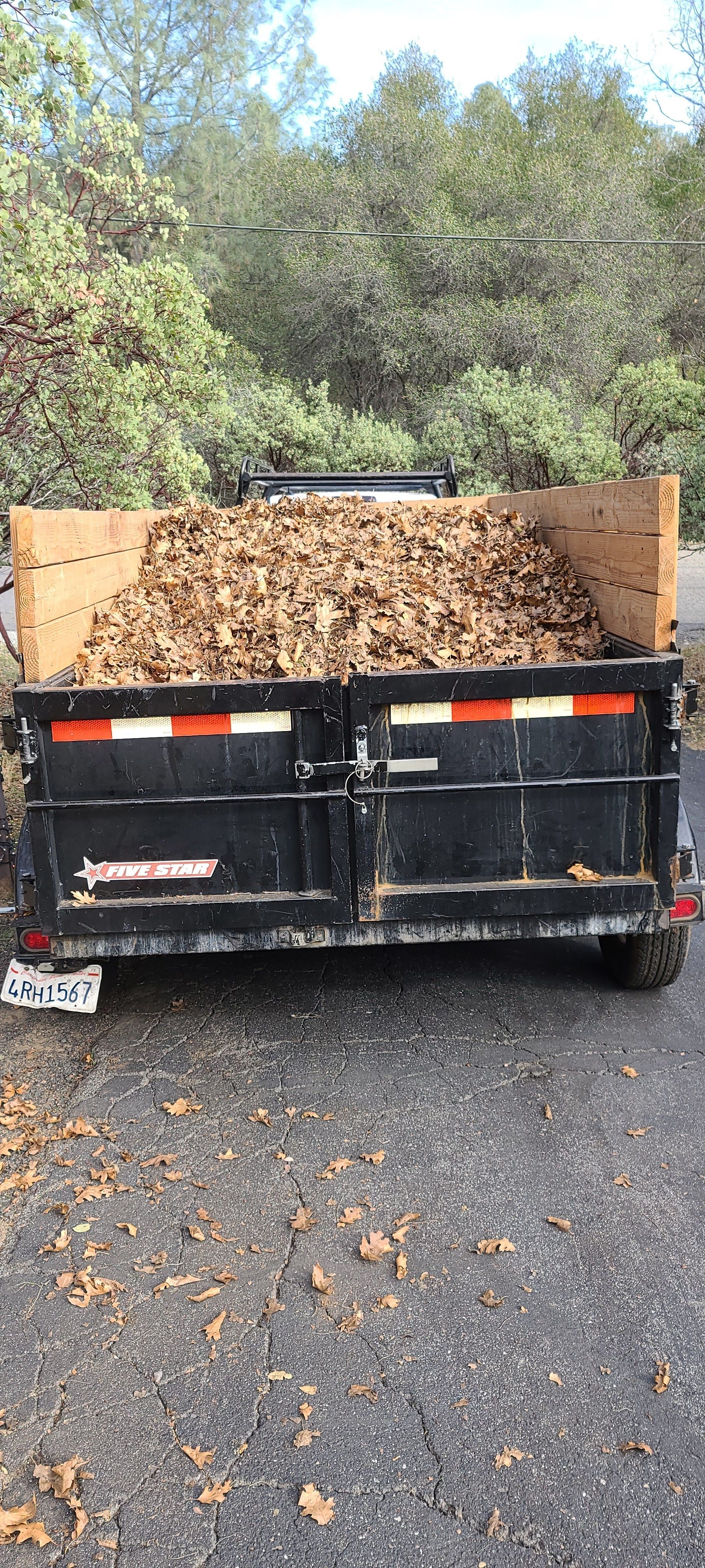 A dumpster filled with leaves is parked on the side of the road.