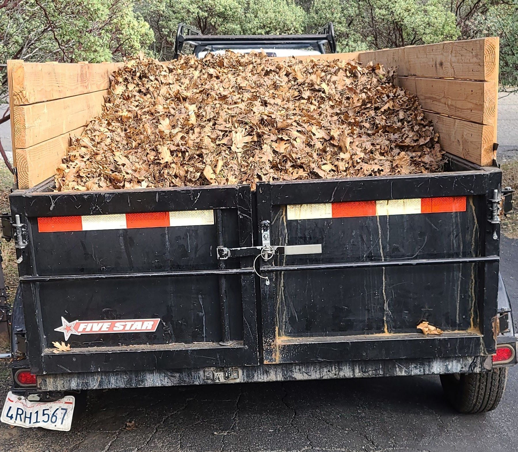 A dumpster with a lot of leaves in it