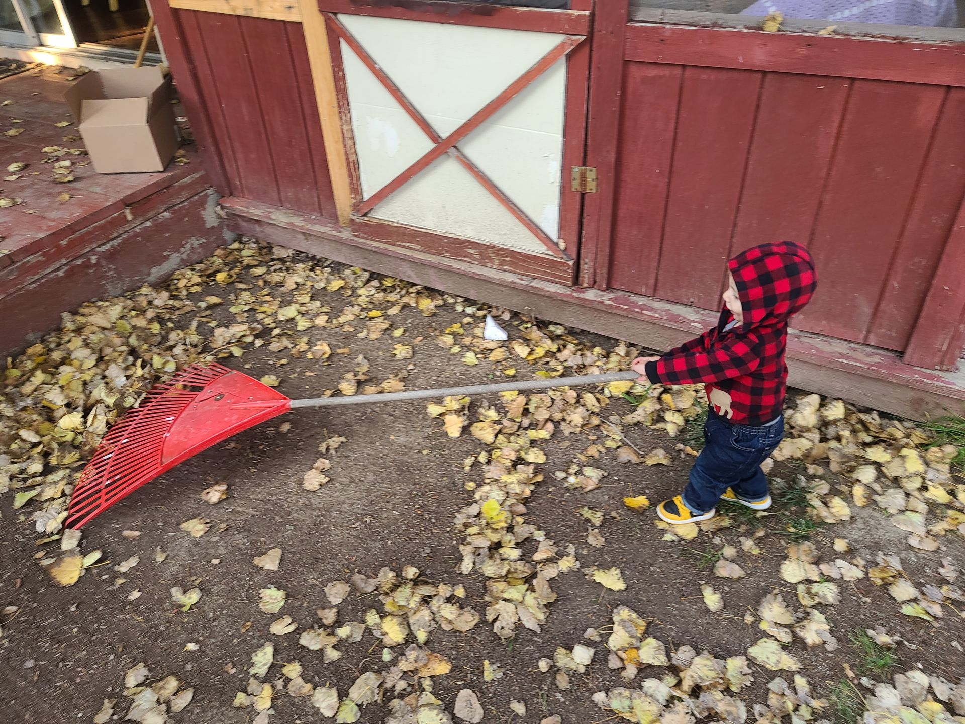 A little boy is raking leaves in front of a barn.