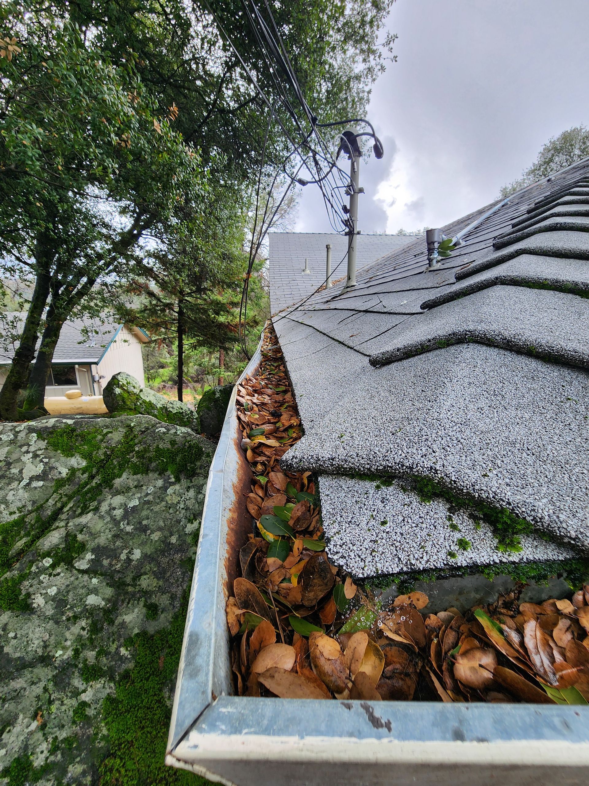 A gutter filled with leaves on the side of a roof.